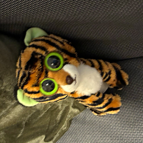 Beanie boos glubschi tiger - ty,