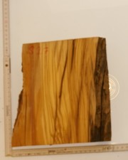 Olivenholz Epoxid Holz 7cm