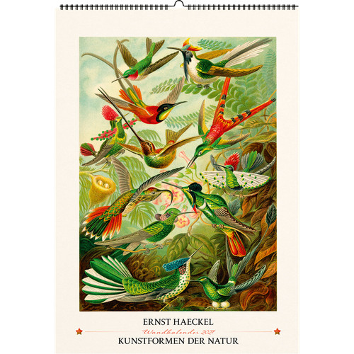 Ernst haeckel kunstformen der - haeckel.,
