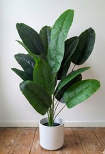 künstliche Bananen Pflanze