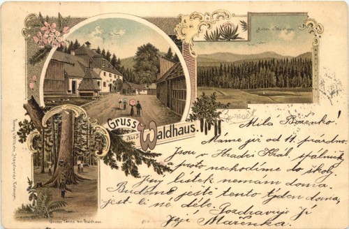 Gruss aus waldhaus bei zwiesel - gruss,