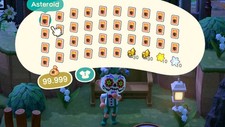 Animal Crossing New Horizons