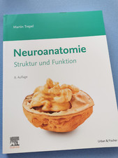 Neuroanatomie Struktur und