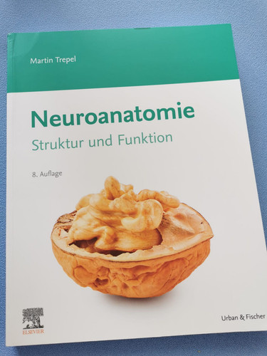 Neuroanatomie struktur und - struktur,