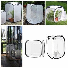 Insekten und Schmetterlings