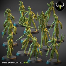 12x Cult of the Eight Witches