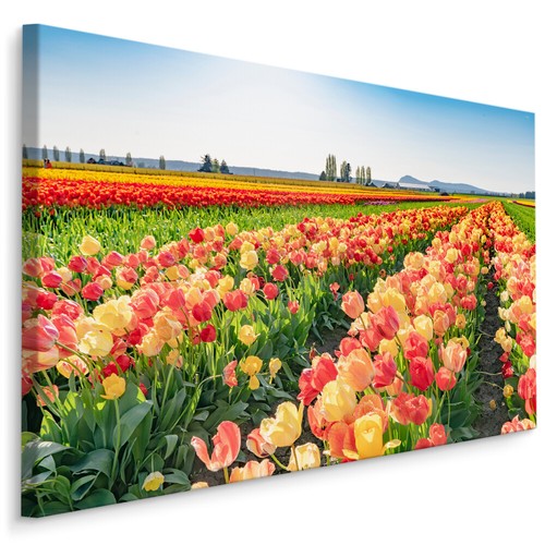 Canvas leinwand bilder xxl - leinwand,