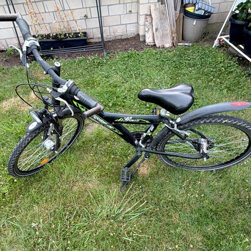 Pegasus avanti mountainbike - pegasus,