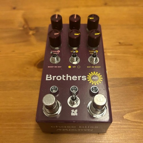 Chase bliss audio brothers - bliss,