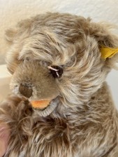 Alter Steiff Teddybär Mohair