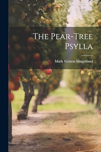 Slingerland pear tree psylla - -, pear-tree