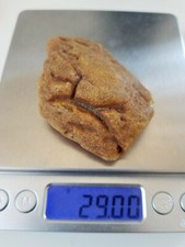 Bernstein Butterscotch 29