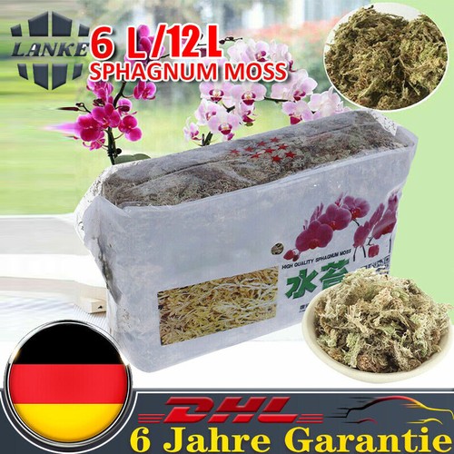 12lfür sphagnum - 6l/12lfür,