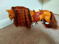 Cali Mädchen Reiten Baja