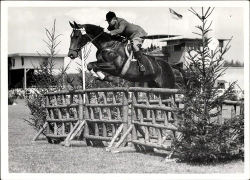 Foto springreiten sprung - foto,