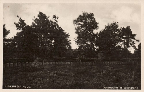 Lündeburger heide - ak,