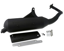 Auspuff MALOSSI Wild Lion für