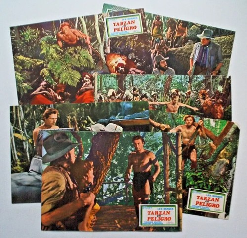 Aushangfotos tarzan rettet - 9x,