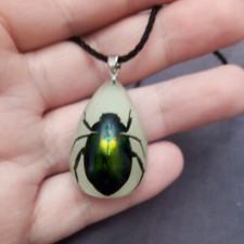 Grün schillernder Skarabäus