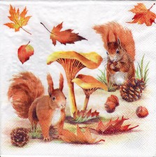 3 Servietten ~ Herbst, Tiere, Eichhörnchen, Pilze, Zapfen, Nüsse, Laub ~ 33x33