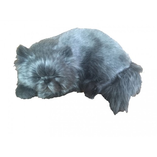Perfect petzzz 92608 - petzzz,