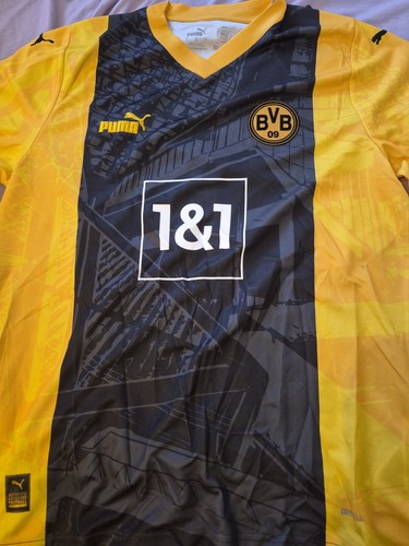 Bvb jahre westfalenstadion - 50,