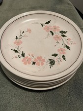 Teller, Mittags Teller, flach, 6 Stück, bunt