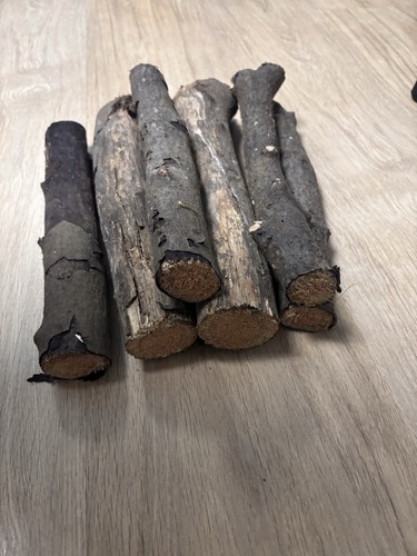 Pfaffenhütchen holz - pfaffenhütchen,
