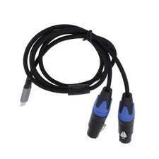 USB C to 2x XLR Female