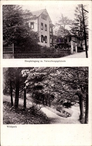 Mellenbach glasbach im - glasbach,