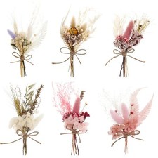 6 Bündel Mini Getrocknete