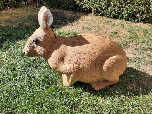 Hase bogenschießen - hase,