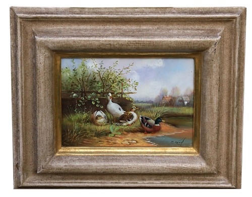Samuel koch enten - am, Öl