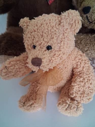 Teddy bär top - teddy, top!