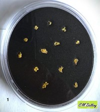 13 natürliche Goldnuggets