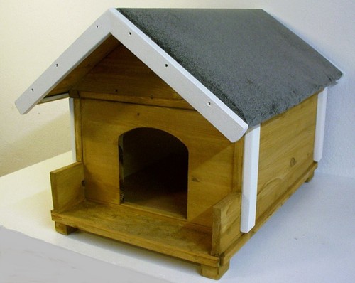 Katzenhaus outdoor isoliert - ,