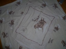 Biber winter pferde - biber,