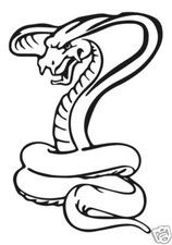 Schlange Cobra  Snake