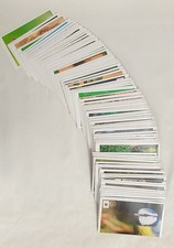 Edeka Unser Wald Komplettsatz