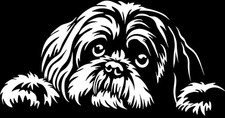 SHIH-TZU Aufkleber - Shih-Tzu
