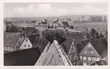 Ansichtskarte Murr, Storchennest auf dem Dach 