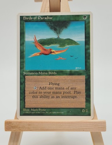 Birds paradise fourth - paradise, (fourth