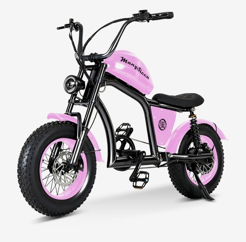 Mangosteen ft02 mini bike - mangosteen,