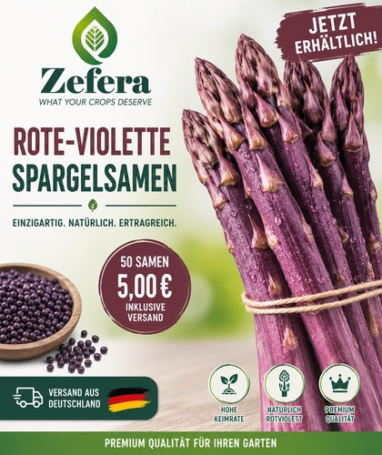 Stck rote violette - 50, stck.