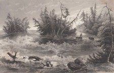 The Rapids of the Niagara