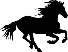Aufkleber pferd - aufkleber,