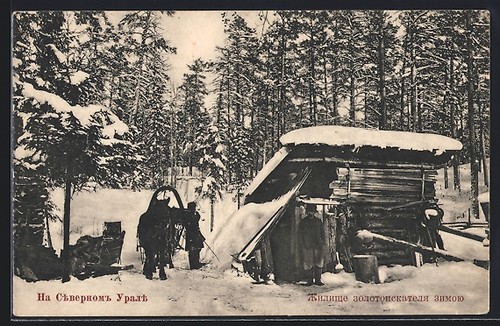 Ansichtskarte hütte wald - ansichtskarte, im