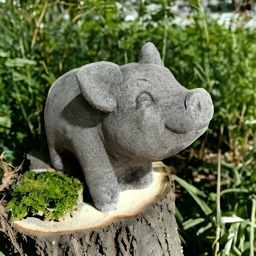Frostsicheres kleines schwein - frostsicheres,