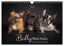 Bullymania - Französische