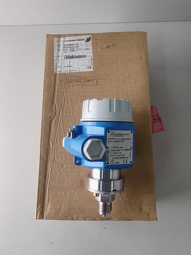 Endress+Hauser